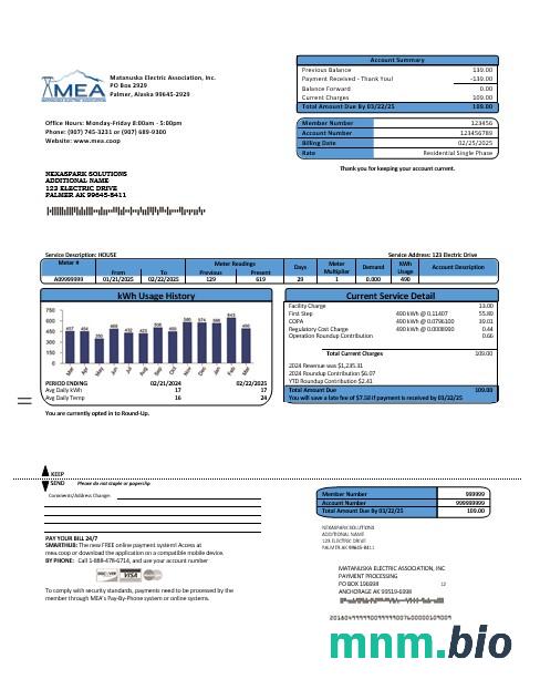 USA MEA Alaska electricity rachunek za usługi komunalne szablon w formacie Word i PDF